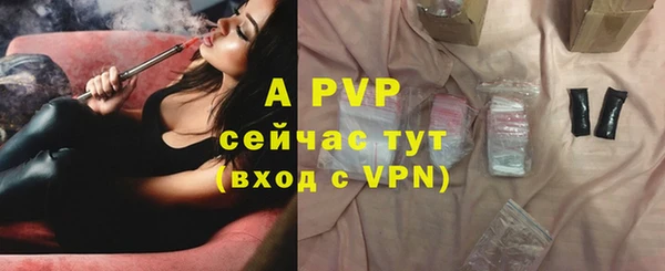 дмт Снежногорск
