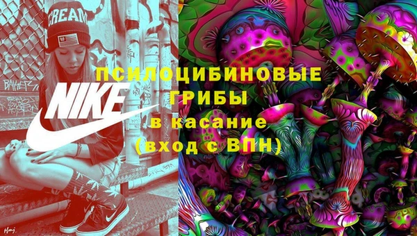 ешки Арсеньев